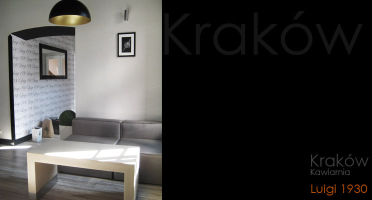 aa_interior design_Luigi_Kraków_17