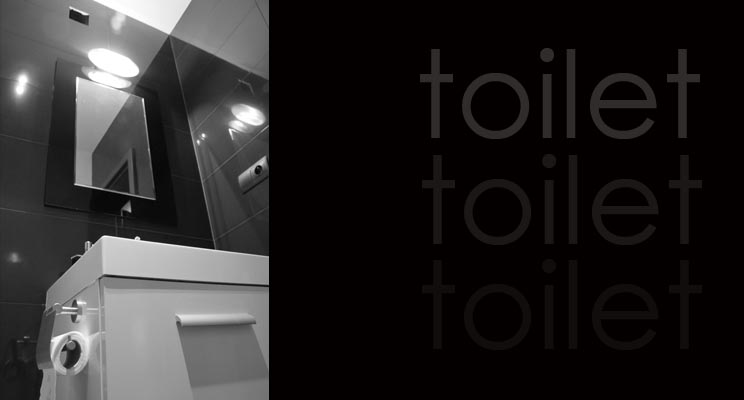 aa_interior design_toaleta_2